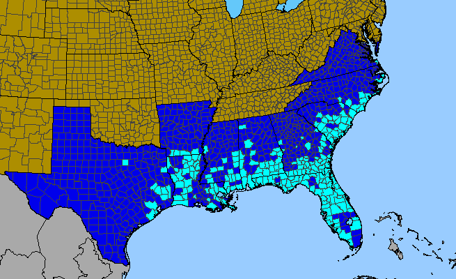 The range of Sesbania punicea
